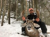 2019 Deer Photos